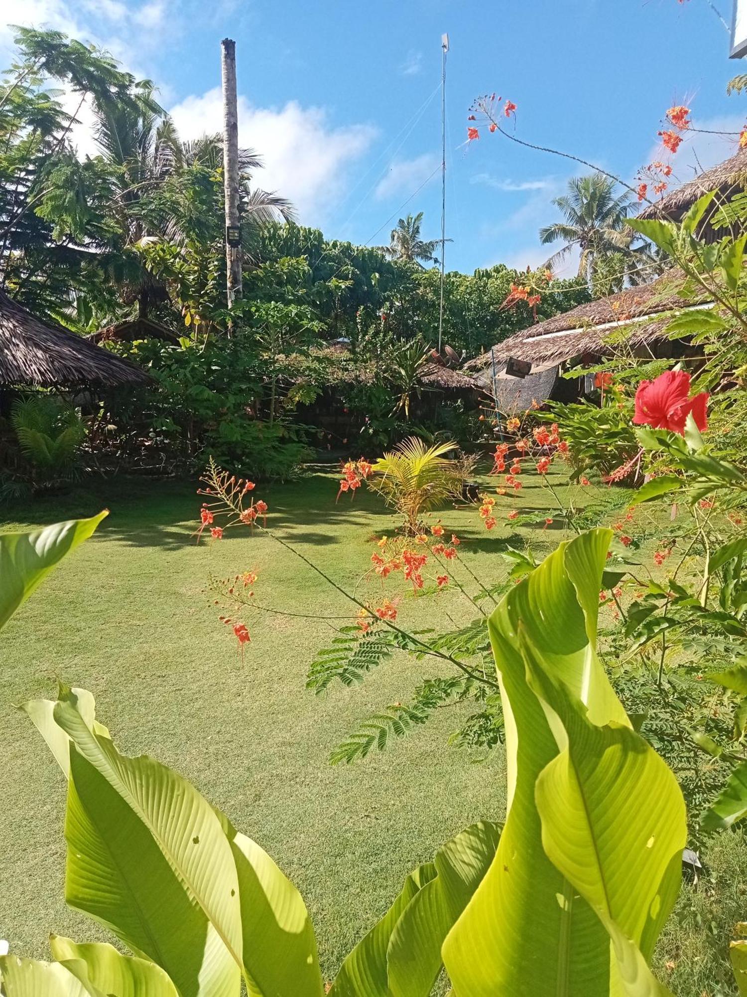 Weeroona Huts Homestay Pacifico San Isidro  ภายนอก รูปภาพ